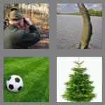 4 pics 1 word 5 letters green