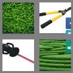 4 pics 1 word 5 letters hedge