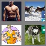 4 pics 1 word 5 letters husky