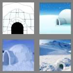 4 pics 1 word 5 letters igloo