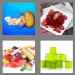 4 pics 1 word 5 letters jelly