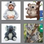 4 pics 1 word 5 letters koala