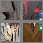 4 pics 1 word 5 letters lapel