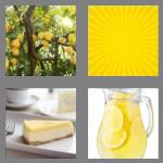 4 pics 1 word 5 letters lemon