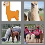 4 pics 1 word 5 letters llama