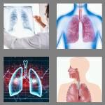 4 pics 1 word 5 letters lungs