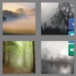 4 pics 1 word 5 letters misty