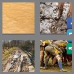 4 pics 1 word 5 letters muddy