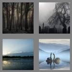 4 pics 1 word 5 letters murky