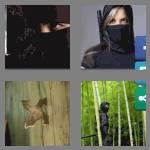 4 pics 1 word 5 letters ninja