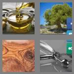 4 pics 1 word 5 letters olive