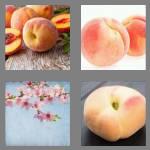 4 pics 1 word 5 letters peach