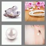 4 pics 1 word 5 letters pearl