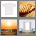 4 pics 1 word 5 letters plain