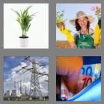 4 pics 1 word 5 letters plant