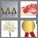 4 pics 1 word 5 letters prime