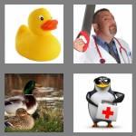 4 pics 1 word 5 letters quack