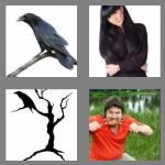 4 pics 1 word 5 letters raven