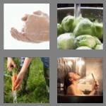 4 pics 1 word 5 letters rinse