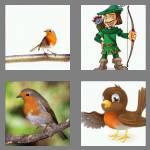 4 pics 1 word 5 letters robin