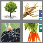 4 pics 1 word 5 letters roots