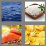 4 pics 1 word 5 letters salty