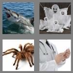 4 pics 1 word 5 letters scary