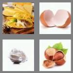 4 pics 1 word 5 letters shell