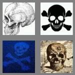 4 pics 1 word 5 letters skull