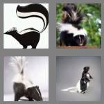 4 pics 1 word 5 letters skunk