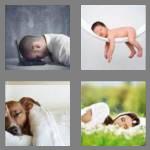 4 pics 1 word 5 letters sleep