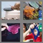 4 pics 1 word 5 letters slime