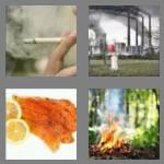 4 pics 1 word 5 letters smoke