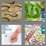 4 pics 1 word 5 letters snake