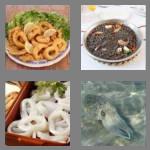 4 pics 1 word 5 letters squid