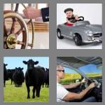 4 pics 1 word 5 letters steer