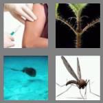 4 pics 1 word 5 letters sting