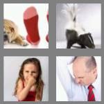 4 pics 1 word 5 letters stink