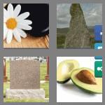 4 pics 1 word 5 letters stone