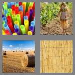 4 pics 1 word 5 letters straw