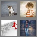 4 pics 1 word 5 letters stray