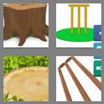 4 pics 1 word 5 letters stump