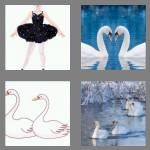 4 pics 1 word 5 letters swans