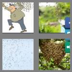 4 pics 1 word 5 letters swarm