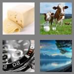 4 pics 1 word 5 letters swiss