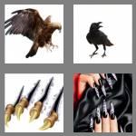 4 pics 1 word 5 letters talon