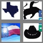 4 pics 1 word 5 letters texas