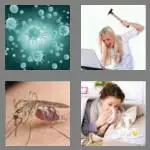 4 pics 1 word 5 letters virus