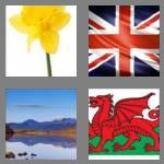 4 pics 1 word 5 letters wales