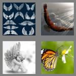 4 pics 1 word 5 letters wings